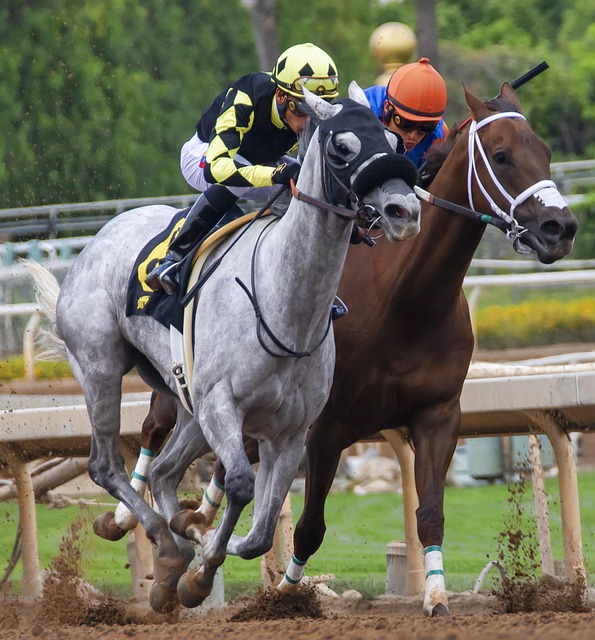 迷在雨中狂 迷在雨中狂